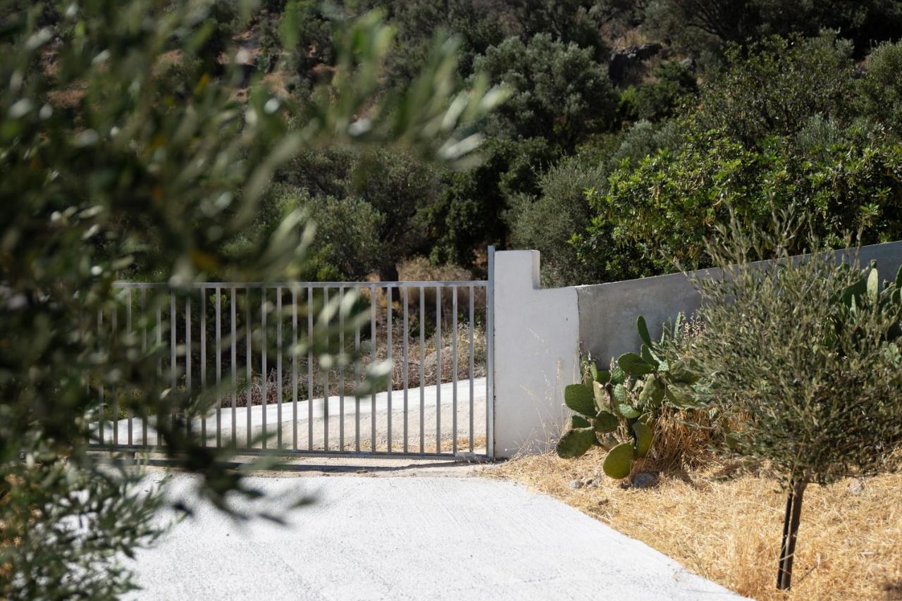 Triopetra Green Dream Bagian luar foto