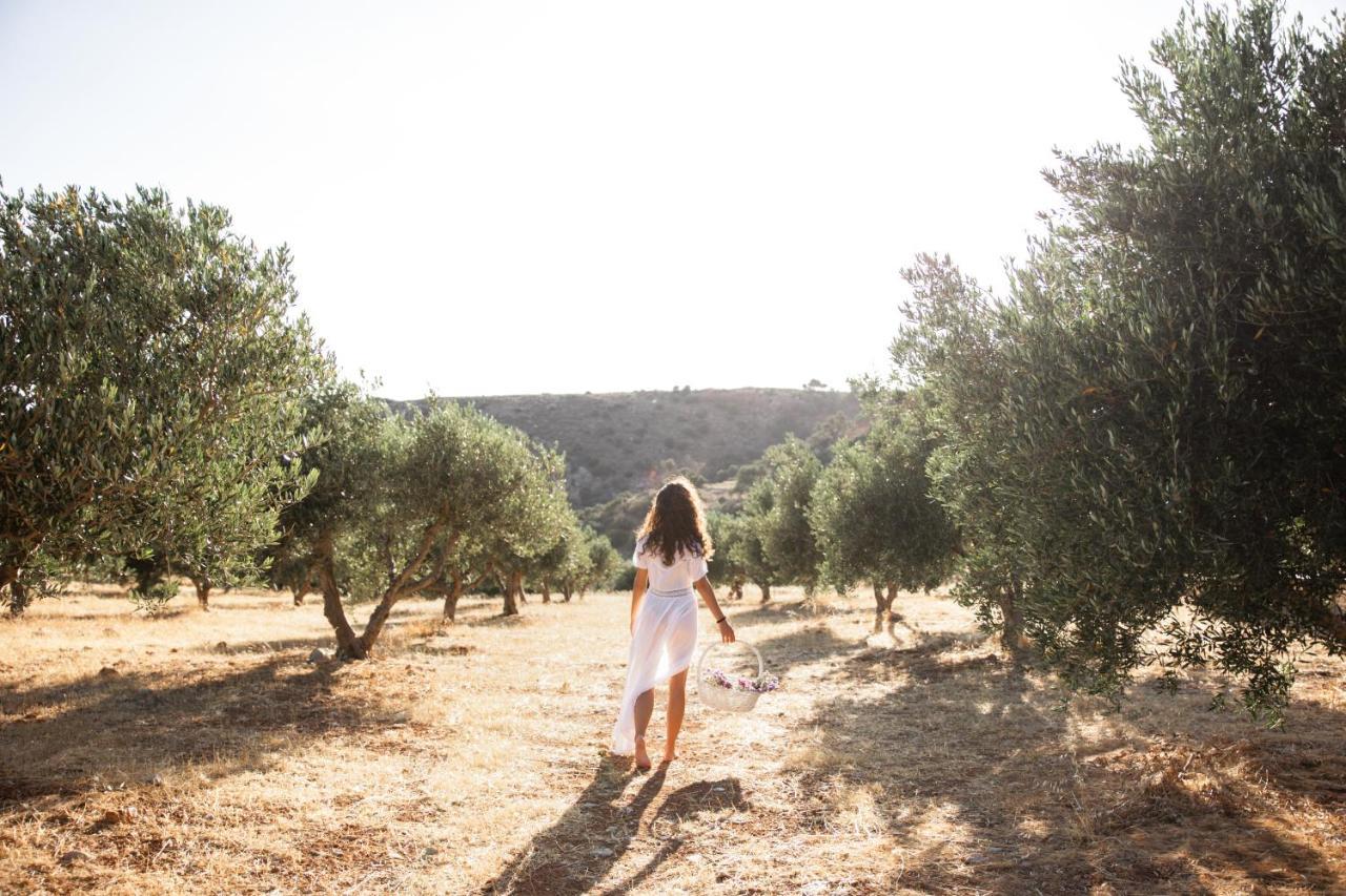 Triopetra Green Dream Bagian luar foto