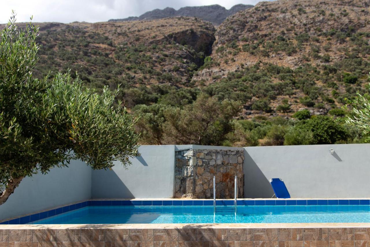 Triopetra Green Dream Bagian luar foto